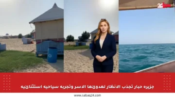 جزيرة حبار تجذب الأنظار لهدوئها الآسر وتجربة سياحية استثنائية